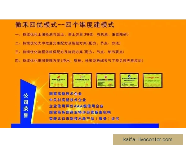 世界杯竞猜热门平台推荐与最佳策略解析全方位指南